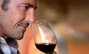 Melhora os Teus Conhecimentos de Enólogo! Curso Online de Iniciação de Degustação de Vinhos!