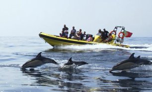 Cruzeiro, Golfinhos e Grutas! Maravilha-te em Família neste Cruzeiro pela costa Algarvia!