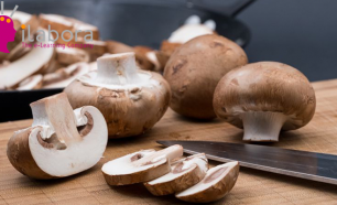 Curso Online Como Colher e Cozinhar Cogumelos!