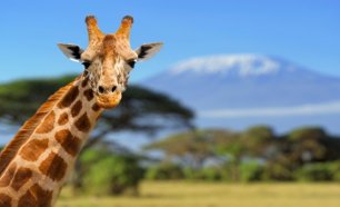Safari Quénia Rift Valley + Zanzibar | Saída de Lisboa e Porto