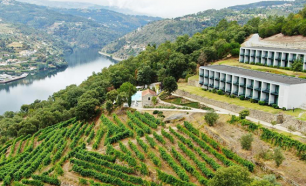 Douro Palace Hotel Resort & Spa 4*| Estadia Romântica para 2 pessoas